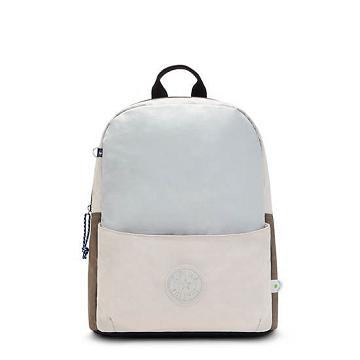 Bolsas Para Portatil Kipling Sonnie 15" Backpack Plateados Grises | MX 1670KO